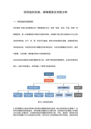 项目组织实施、保障措施及风险分析.docx