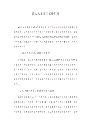 镇人大主席团工作汇报.docx