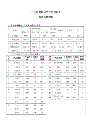 高管总结报告.docx