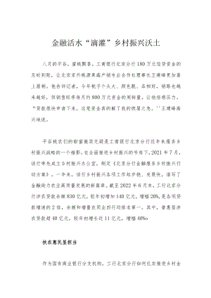 金融活水 “滴灌”乡村振兴沃土.docx