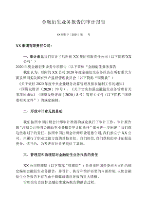 金融衍生业务专项报告审计报告.docx