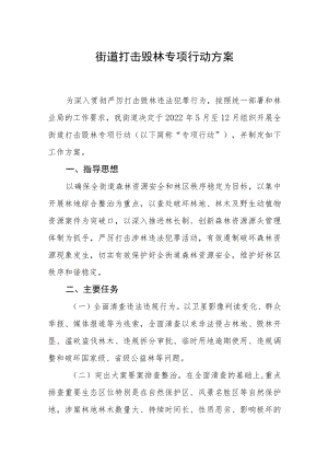 街道打击毁林专项行动方案.docx