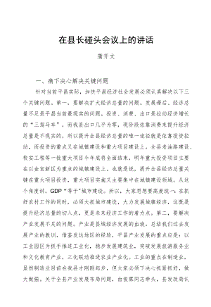 蒲开文：在县长碰头会议上的讲话.docx