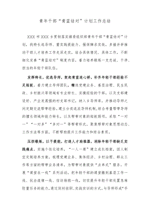 青年干部“青蓝结对”计划工作总结.docx