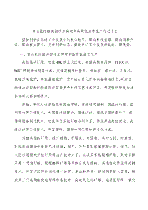 高性能纤维关键技术突破和高效低成本生产行动计划.docx