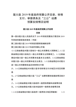 红塔区“三公”经费及转移支付、债务管理等情况说明一.docx