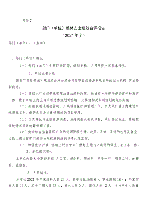 部门（单位）整体支出绩效自评报告.docx