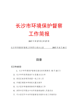 长沙市环境保护督察.docx