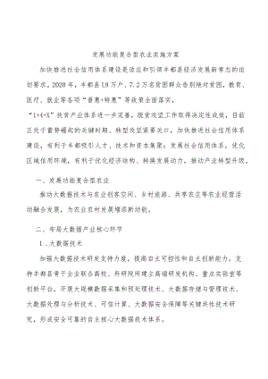 发展功能复合型农业实施方案.docx