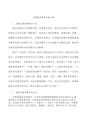 发展精品零售实施方案.docx