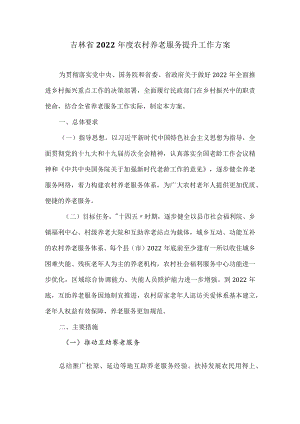 吉林省2022年度农村养老服务提升工作方案.docx