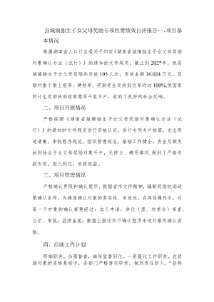 县城镇独生子女父母奖励专项经费绩效自评报告.docx