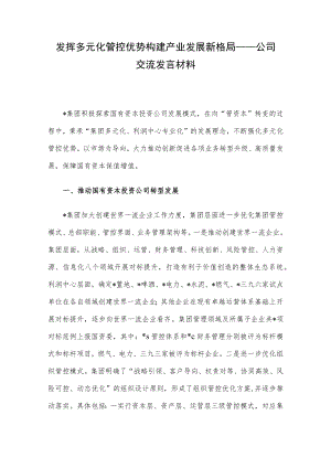 发挥多元化管控优势 构建产业发展新格局——公司交流发言材料.docx