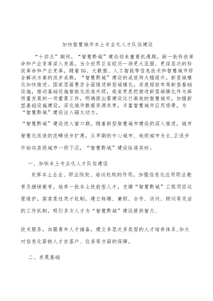加快智慧城市本土专业化人才队伍建设.docx