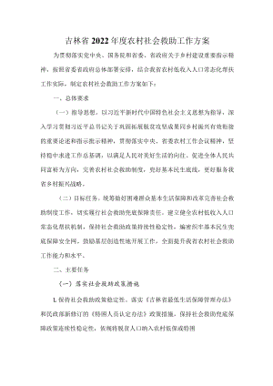 吉林省2022年度农村社会救助工作方案.docx