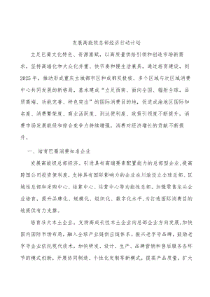 发展高能级总部经济行动计划.docx