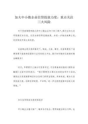 加大中小微企业信贷投放力度重点关注三大风险.docx