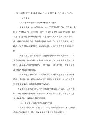 区创建国家卫生城市重点公共场所卫生工作组工作总结.docx