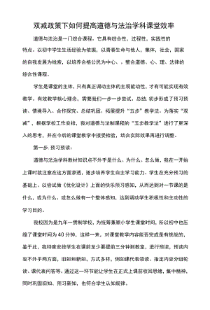 双减政策下如何提高道德与法治学科课堂效率.docx