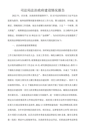 司法局法治政府建设情况报告.docx