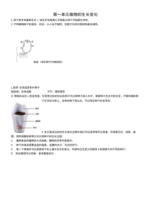 小学科学教科版四年级下册全册知识点整理(2021新版).docx