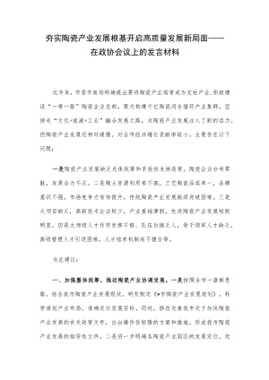 夯实陶瓷产业发展根基 开启高质量发展新局面——在政协会议上的发言材料.docx