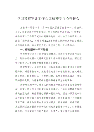 学习某省审计工作会议精神学习心得体会.docx