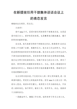在新提拔任用干部集体谈话会议上的表态发言.docx