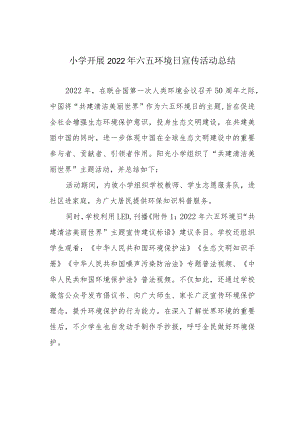 小学开展2022年六五环境日宣传活动总结.docx
