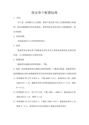 安保骨干配置标准.docx