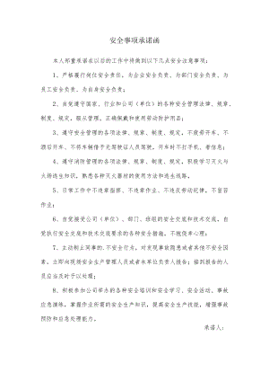 安全事项承诺函.docx