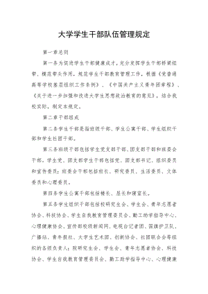 大学学生干部队伍管理规定.docx