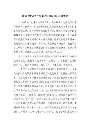 学习廉洁自律准则心得体会.docx