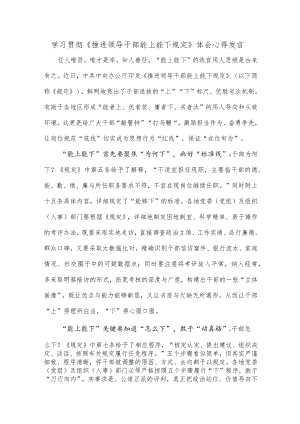 学习贯彻《推进领导干部能上能下规定》体会心得发言.docx