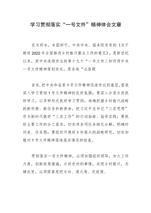 学习贯彻落实“一号文件”精神体会文章.docx