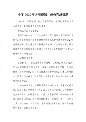 小学2022年各项规划、任务完成情况.docx