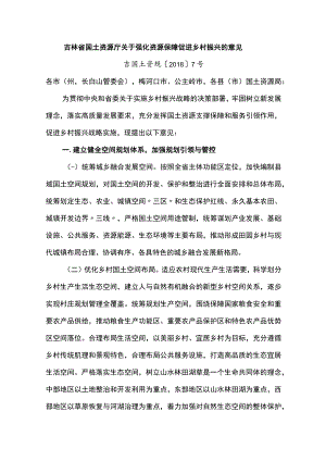吉林省国土资源厅关于强化资源保障促进乡村振兴的意见.docx