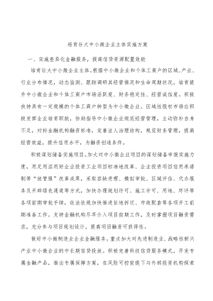 培育壮大中小微企业主体实施方案.docx
