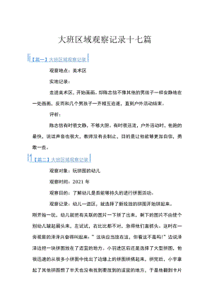 大班区域观察记录十七篇.docx