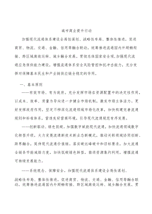 城市商业提升行动.docx