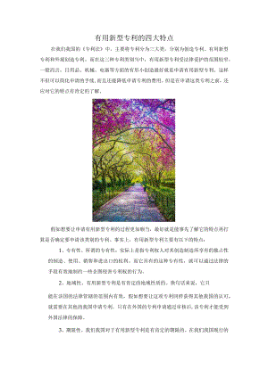 实用新型专利的四大特点.docx