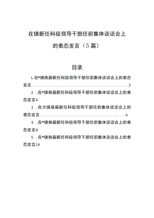 在镇新任科级领导干部任前集体谈话会上的表态发言（5篇）.docx