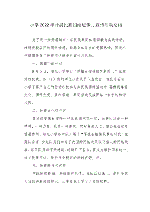 小学2022年开展民族团结进步月宣传活动总结.docx