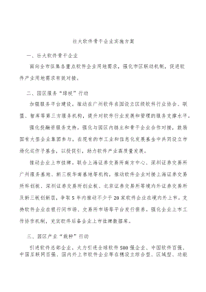 壮大软件骨干企业实施方案.docx