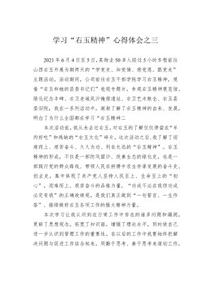 学习“右玉精神”心得体会之三.docx