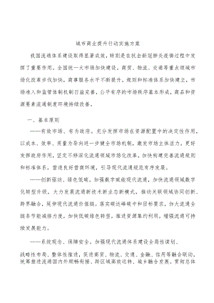 城市商业提升行动实施方案.docx