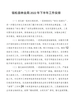 宿松县林业局2022年下半年工作安排.docx