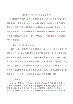 培育扶持一批专精特新企业行动计划.docx