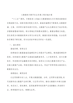 大数据助力数字农业发展工程实施方案.docx
