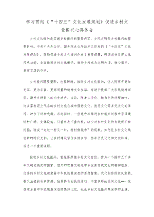 学习贯彻《“十四五”文化发展规划》促进乡村文化振兴心得体会.docx